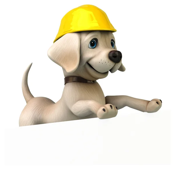 Fun Cartoon White Labrador Retriever Helmet — Stock Photo, Image