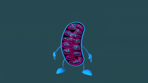 Zabawa Postać Kreskówki Mitochondria — Wideo stockowe