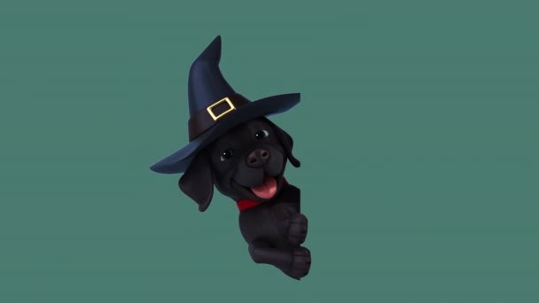 Kartun Menyenangkan Witch Labrador Retriever — Stok Video