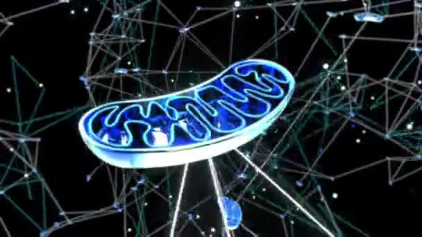 Abstrakcyjna Sieć Energii Mitochondriów — Wideo stockowe
