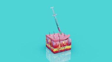 İnsan derisi ile insan anatomisi, 3 boyutlu illüstrasyon