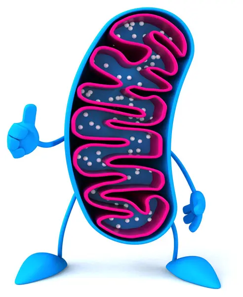 Fun Karikatura Mitochondria Kreslené Postavičky — Stock fotografie
