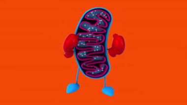 Kutu eldivenlerinde 3 boyutlu hücre oluşturma.