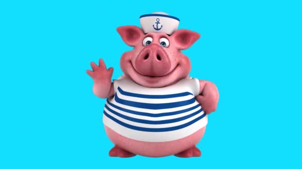 Sailor Pig Cartoon Character Saying — Stock Video