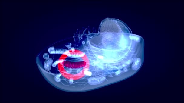 生物细胞岛的抽象动画 — 图库视频影像