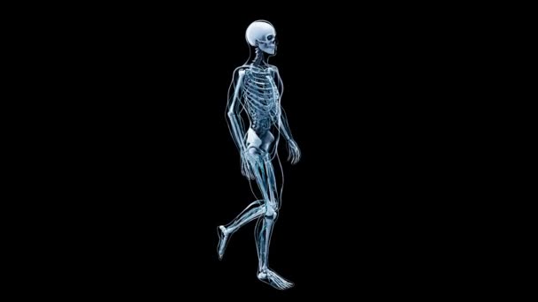 Osteoartrit Diz Patolojisinin Soyut Animasyonu — Stok video