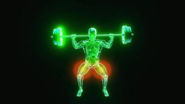 Çömelme hareketleri yapan bir röntgencinin anatomisi - 3 boyutlu görüntü