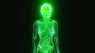 Osteoartrit ve diz patolojisinin soyut animasyonu