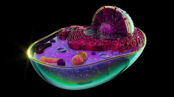Biyolojik Hücre Adasının Soyut Animasyonu — Stok video