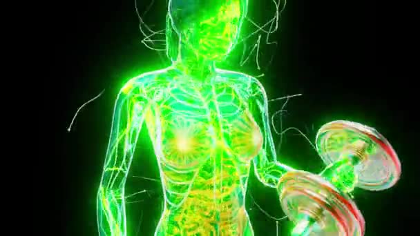 Illustration Einer Anatomie Eines Röntgenbildes Frau Macht Bizeps Locken — Stockvideo