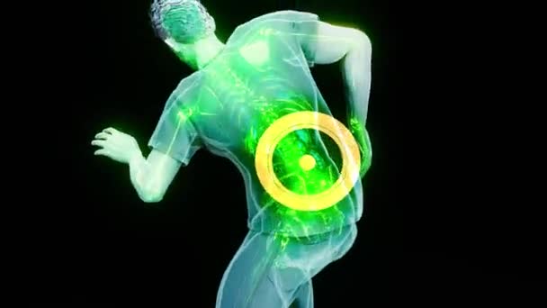 Concept Design Human Body Backache — Stock Video