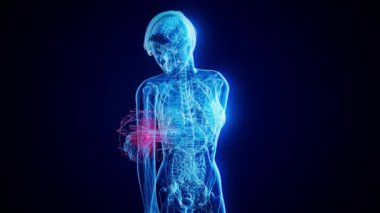 Dirsek ağrısı olan kadın 3 boyutlu animasyon 