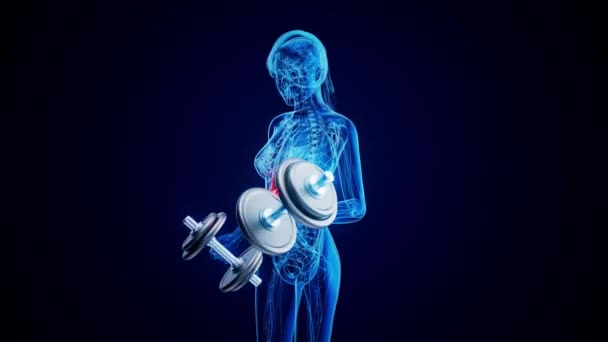 Моделирование Анатомии Рентгена Печени Женщины Делающей Бицепсы — стоковое видео