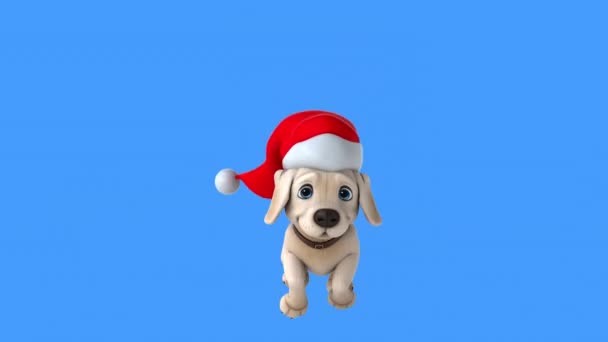 Dog Santa Claus Hat Running Illustration — Stock Video