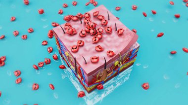 Cildin virüslerden korunmasının soyut çizimi