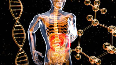 Mide soyut tasarımı