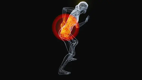 背痛妇女的解剖概念 — 图库照片