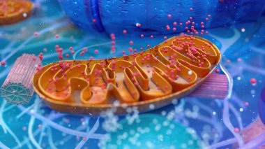 Abstract 3D illustration of the biological cell and the mitochondria clipart