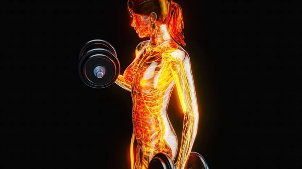 Abstract illustration of a woman with weights