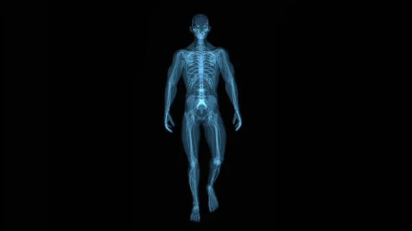 Konsep Anatomi Seorang Pria Dengan Nyeri Punggung Obat — Stok Foto