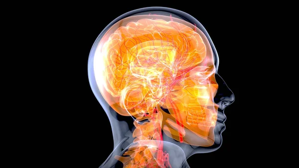 Абстрактное Искусство Мозга Медицины — стоковое фото