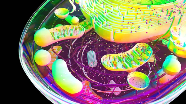 Biyolojik Hücrenin Soyut Çizimi Telifsiz Stok Imajlar