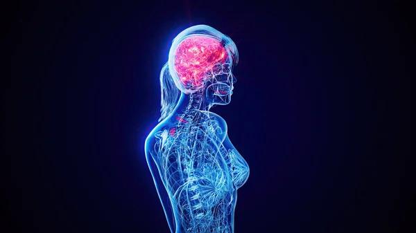 Abstract Woman Walking Brain Highlighted — Stock Photo, Image