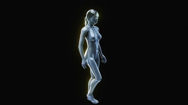 Bir Kadının Boyutlu Anatomik Modeli Stok Resim