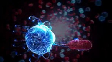 bakteri, tıp geçmişi, tıp, sağlık