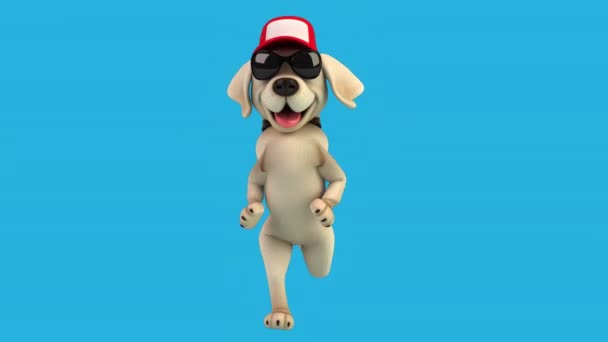 Fun Animation Cartoon Character Labrador Cap Sunglasses Running — Stock Video
