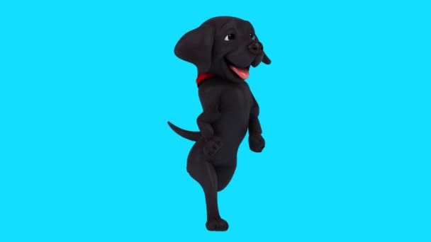 Diversión Animación Personaje Dibujos Animados Labrador Corriendo — Vídeos de Stock
