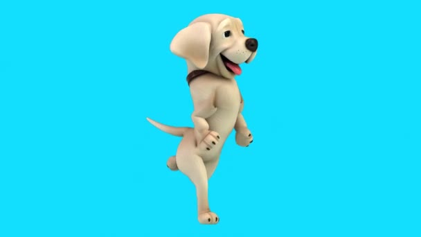 Eğlenceli Boyutlu Çizgi Film Karakteri Labrador Çalışıyor — Stok video