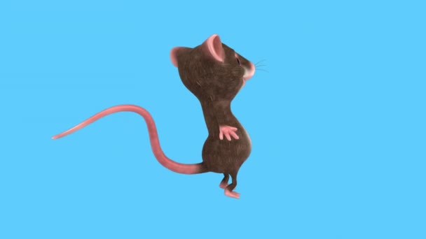 Ποντίκι Χαρακτήρα Κινουμένων Σχεδίων Χορό Σάμπα — Αρχείο Βίντεο