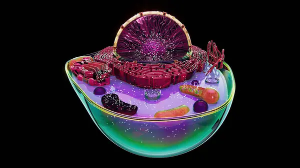 生物学的細胞の抽象的なイラスト ロイヤリティフリーのストック画像