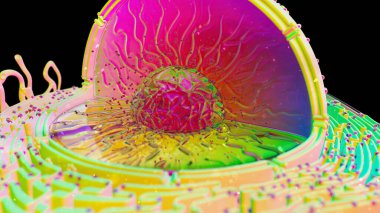 Abstract 3D illustration of the biological cell  clipart