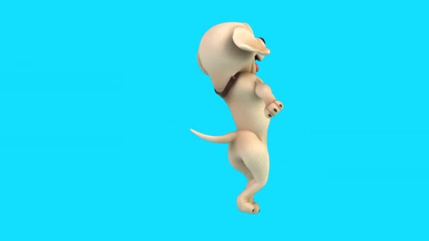 Смешной Персонаж Мультфильма Лабрадор Танцует — стоковое видео