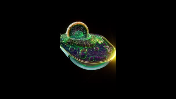 Αφηρημένη Κίνηση Του Βιολογικού Κυττάρου — Αρχείο Βίντεο
