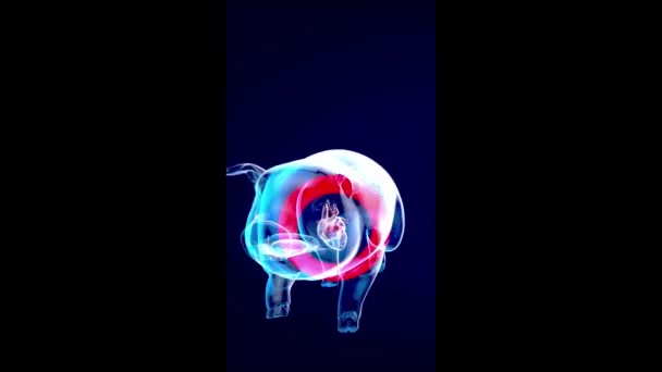 Вертикальна Концептуальна Анімація Ксенотрансплантації — стокове відео