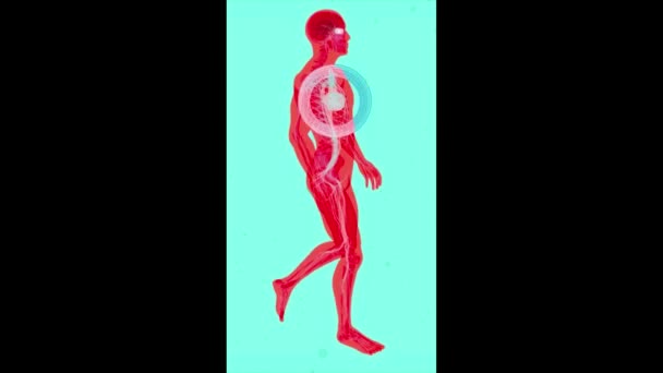 心脏病发作的3D动画 — 图库视频影像