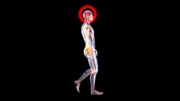 Abstract Art Brain Man Walking Ray — Stock Video
