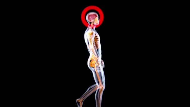 Абстрактное Искусство Мозга Человек Ходит Рентген — стоковое видео