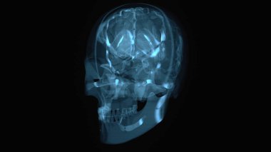 Siyah arkaplanda bir kafatasının soyut sanatı 