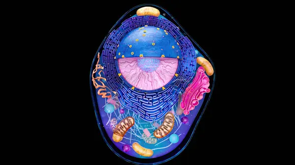 Abstrakcyjna Ilustracja Komórki Biologicznej Obrazek Stockowy