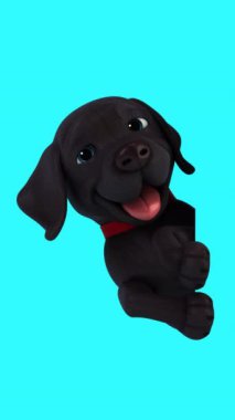 Kartı olan eğlenceli üç boyutlu çizgi film karakteri Labrador 