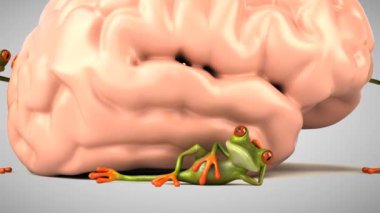 Beynin yanında üç boyutlu yeşil kurbağa.