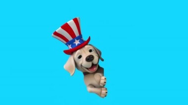 Sam Amca şapkalı eğlenceli bir 3 boyutlu çizgi film Labrador 'u.