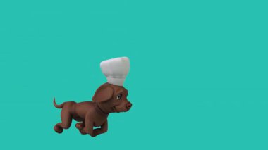 Eğlenceli 3 boyutlu çizgi film karakteri Labrador şef şapkası takıyor. 
