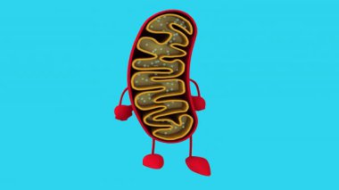 Üç boyutlu eğlenceli mitokondri çizgi film karakteri baş parmağı aşağıda. 