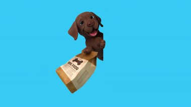 Köpek mamasıyla üç boyutlu komik bir köpek.