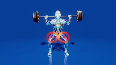 Çömelme hareketleri yapan bir röntgencinin anatomisi - 3 boyutlu görüntü